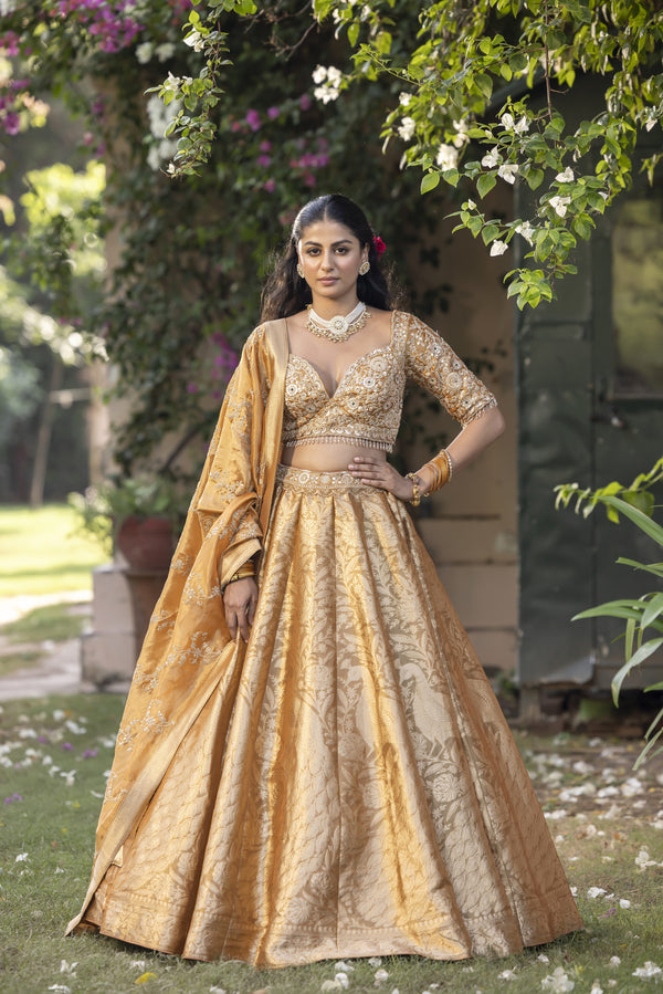 ELEGANT GOLDEN  PEACOCK DESIGN BANARASI SILK LEHENGA