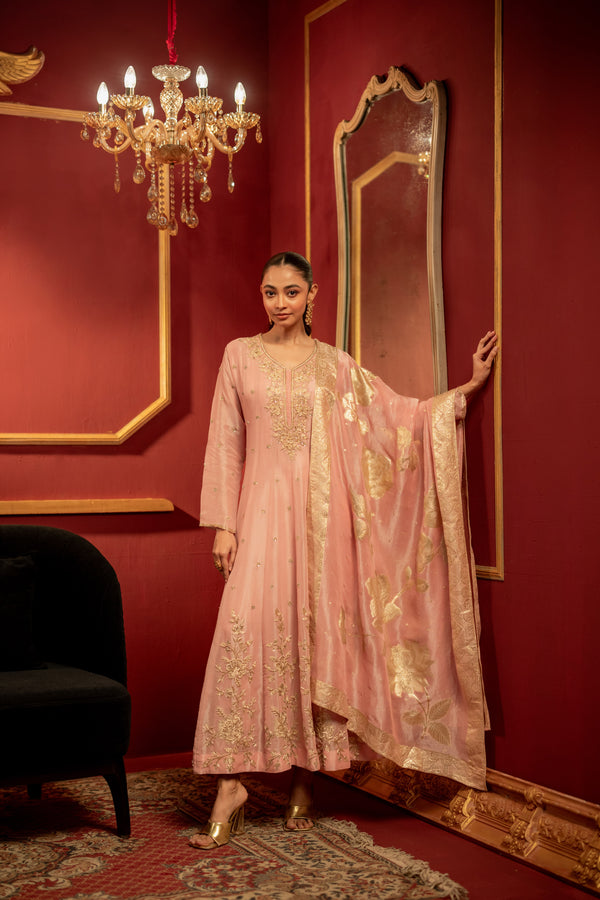 TISSUE HANDWORK ANARKALI SET